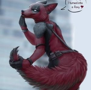 Meet your Posher, Angel